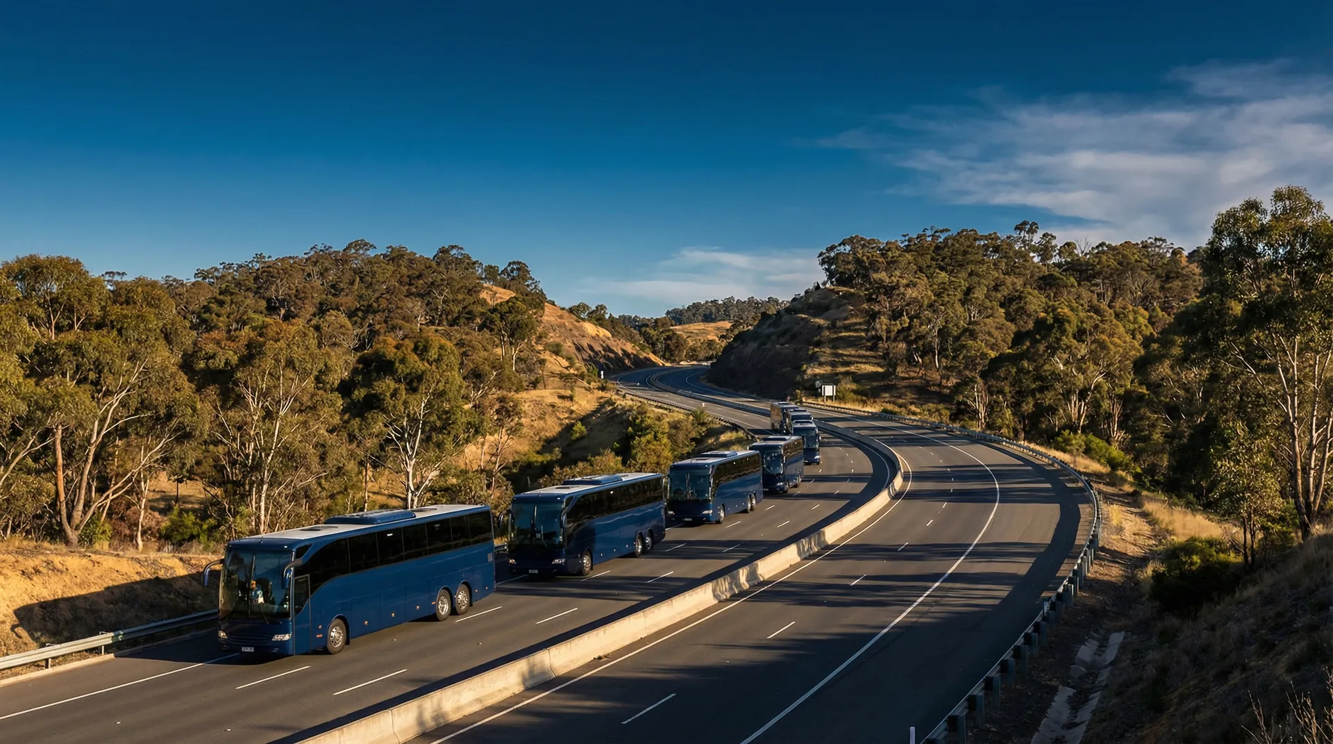 Bus fleet at transport depot